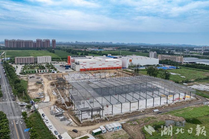 保健食品代加工：行业的未来趋势与发展方向